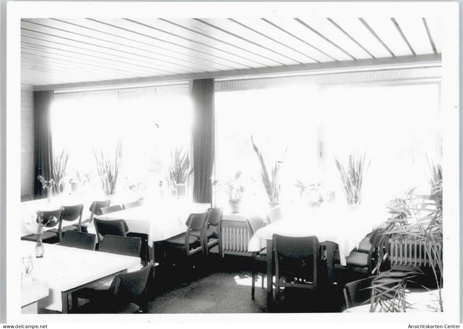 50344487 - Waldhoelzbach