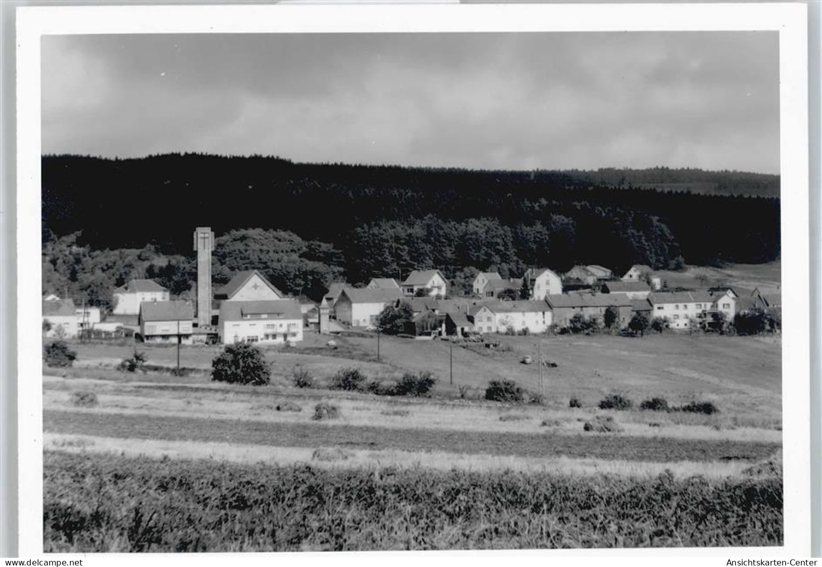 50344490 - Waldhoelzbach