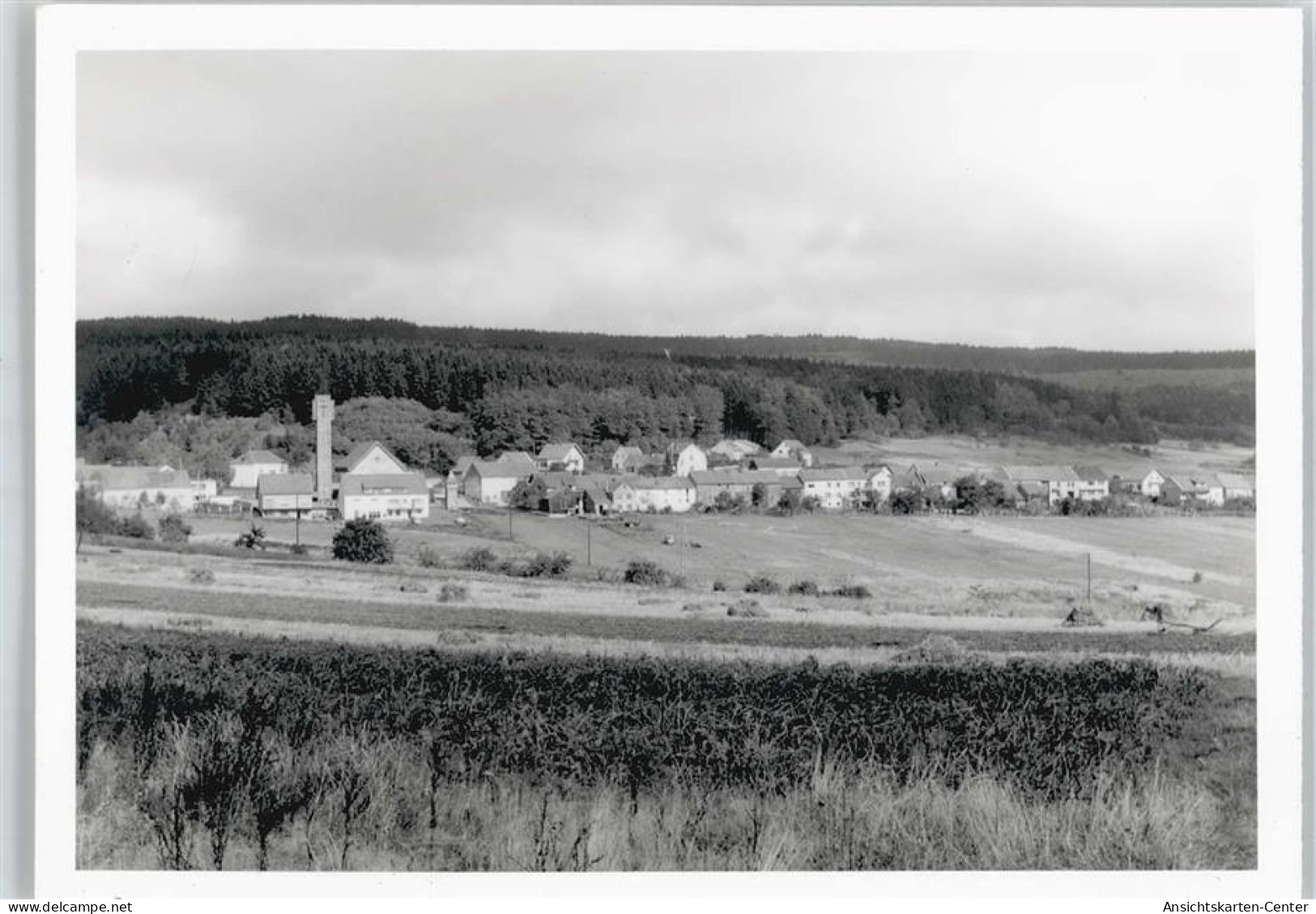 50344495 - Waldhoelzbach