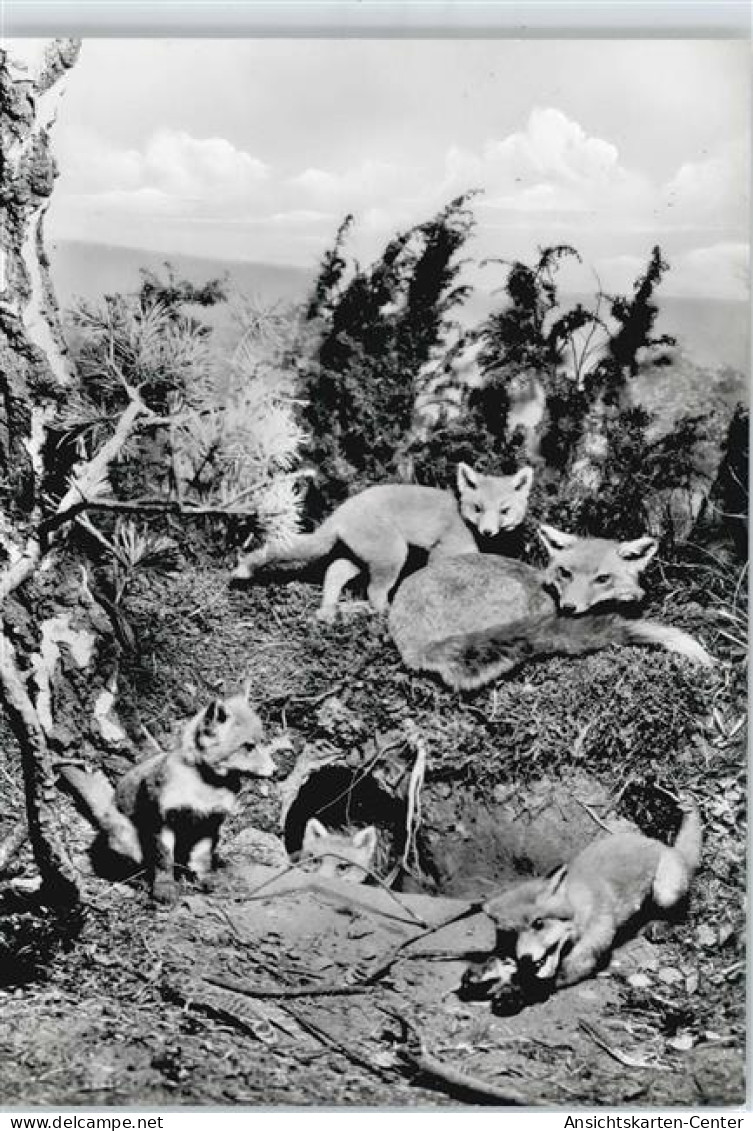 50347392 - Muenster , Westf