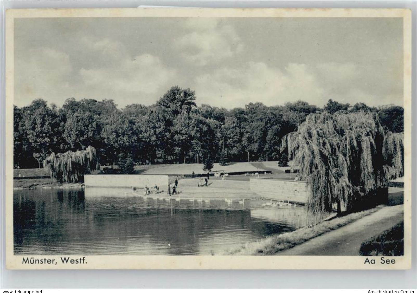 50347467 - Muenster , Westf