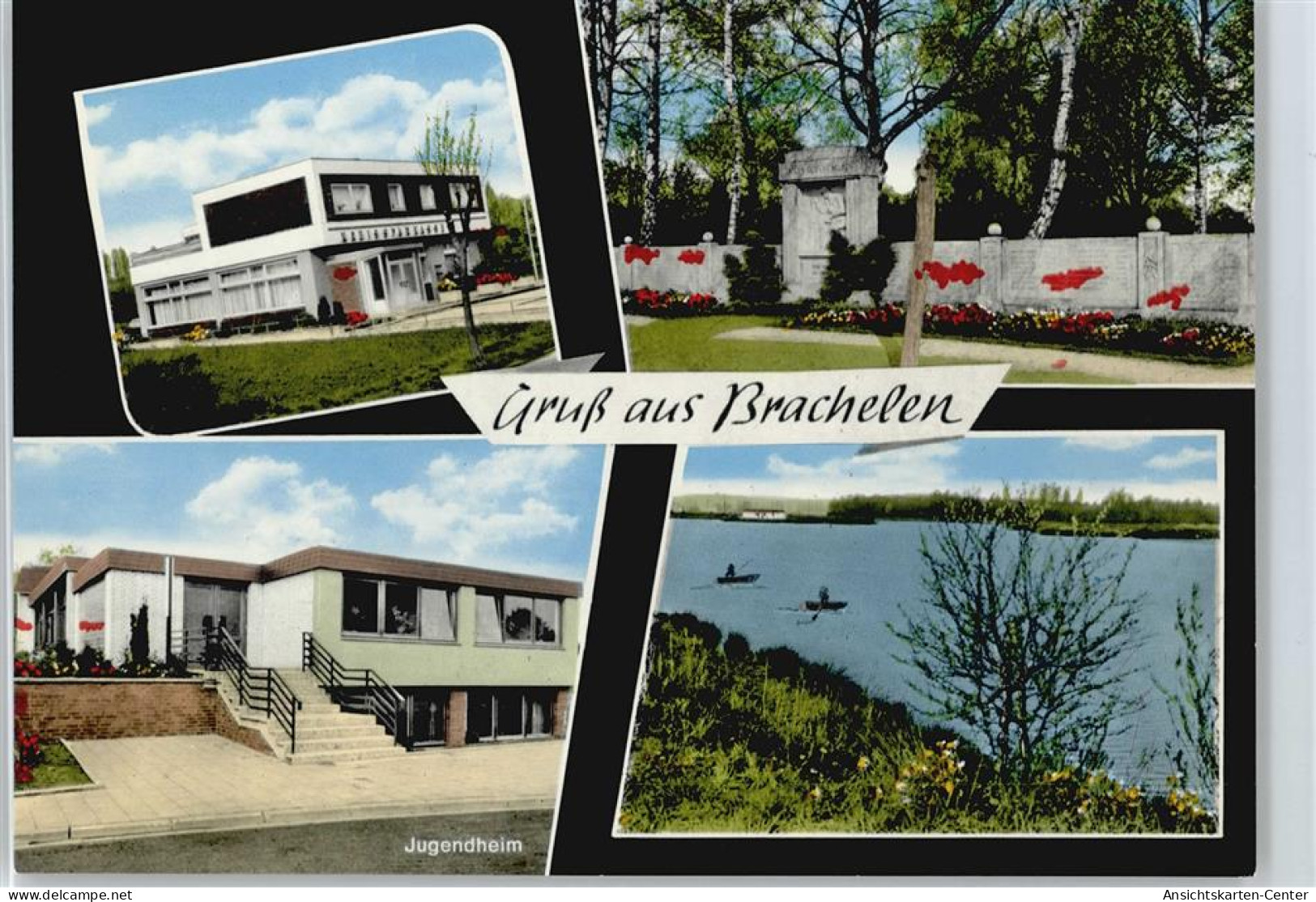 50349487 - Brachelen