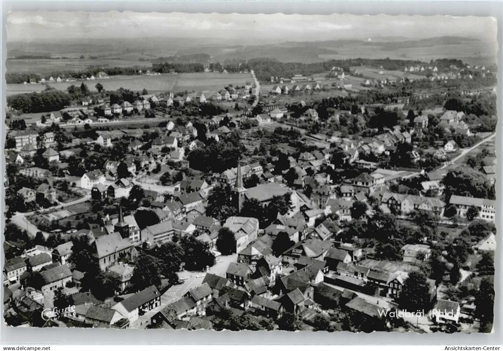 50352597 - Waldbroel