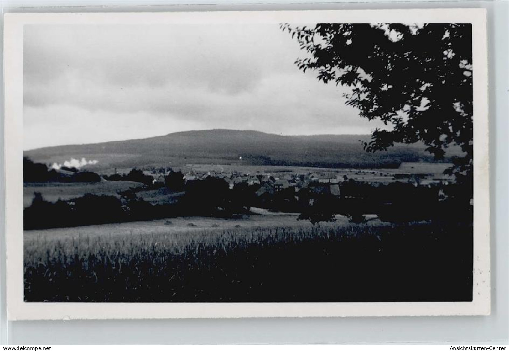 50358830 - Hahn , Taunus