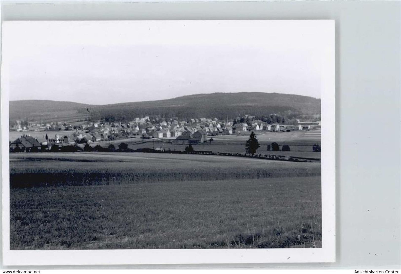 50358837 - Hahn , Taunus