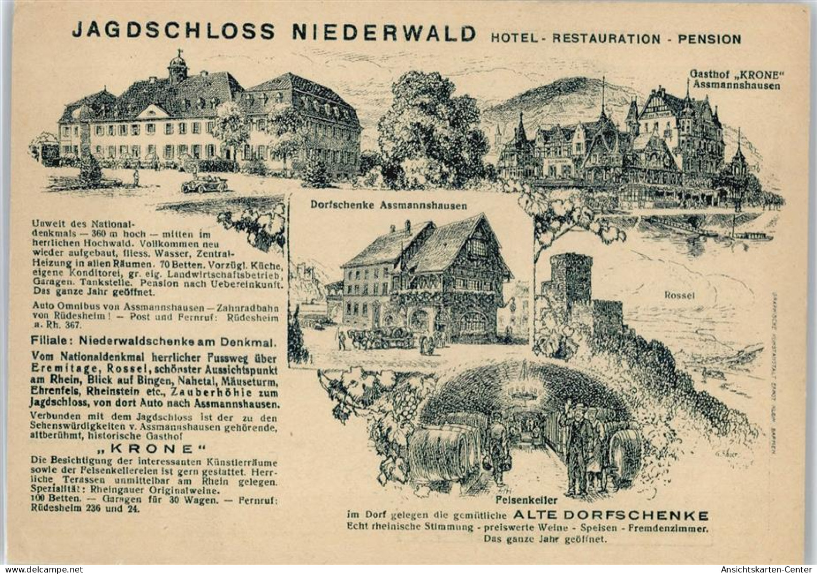 50359501 - Niederwald , Jagdschloss