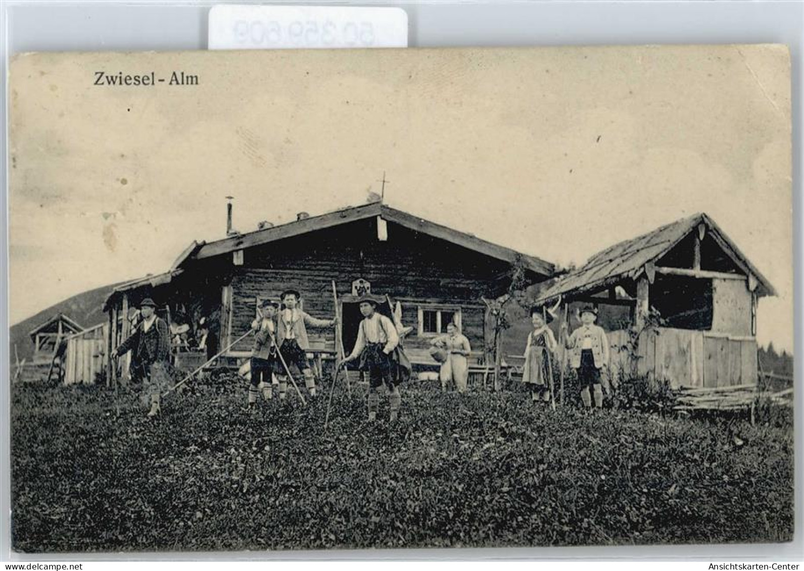 50359609 - Zwiesel