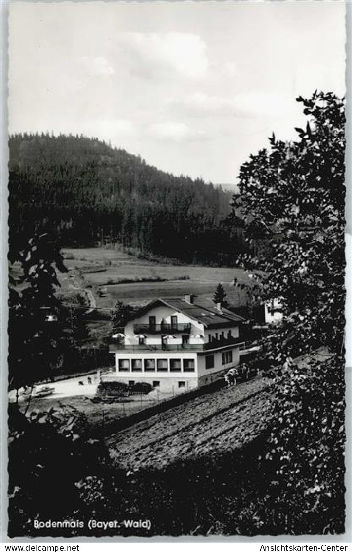 50359620 - Bodenmais