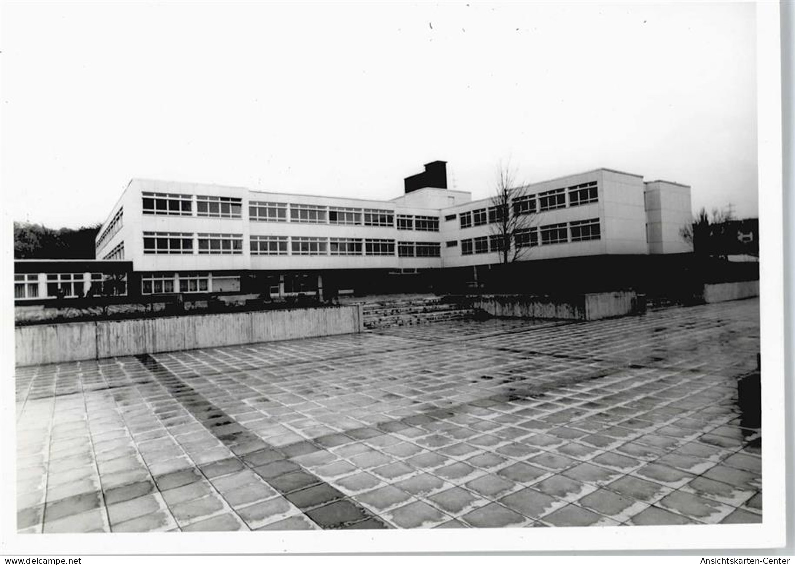 50360608 - Bendorf , Rhein