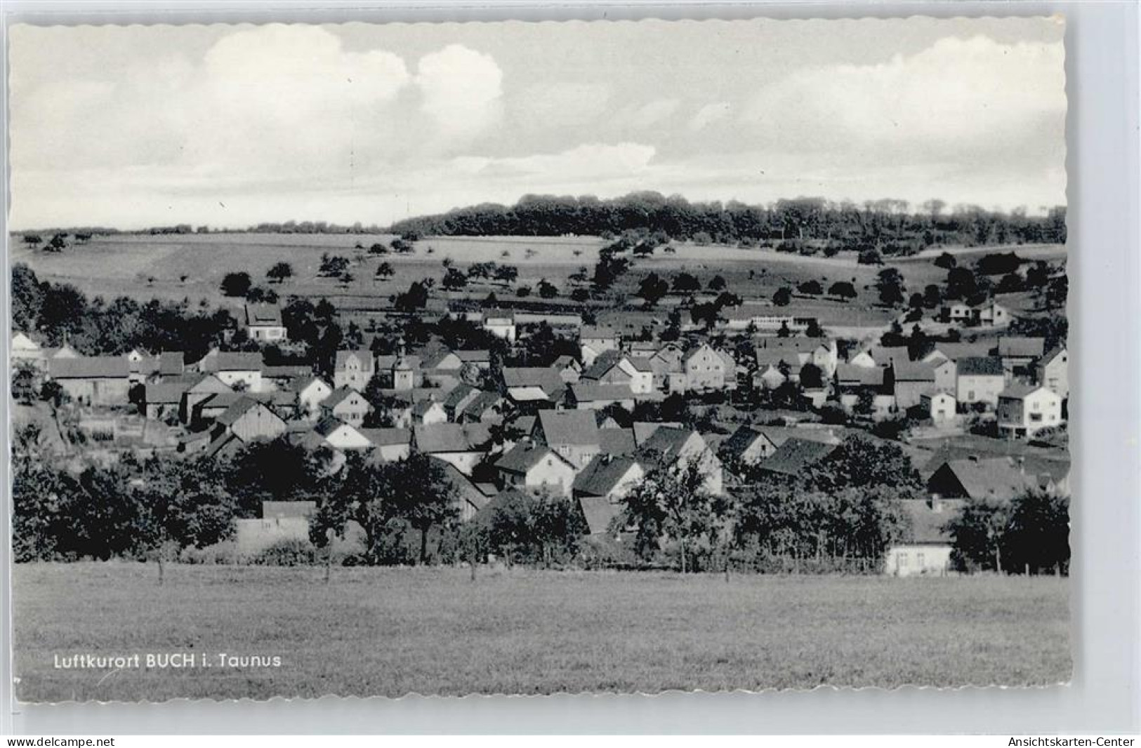 50360849 - Buch , Taunus