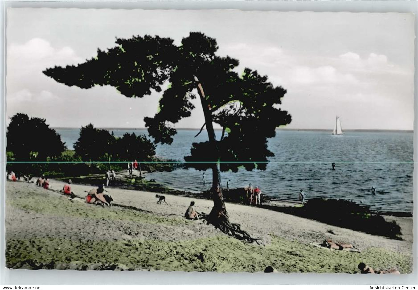 50360967 - Steinhude