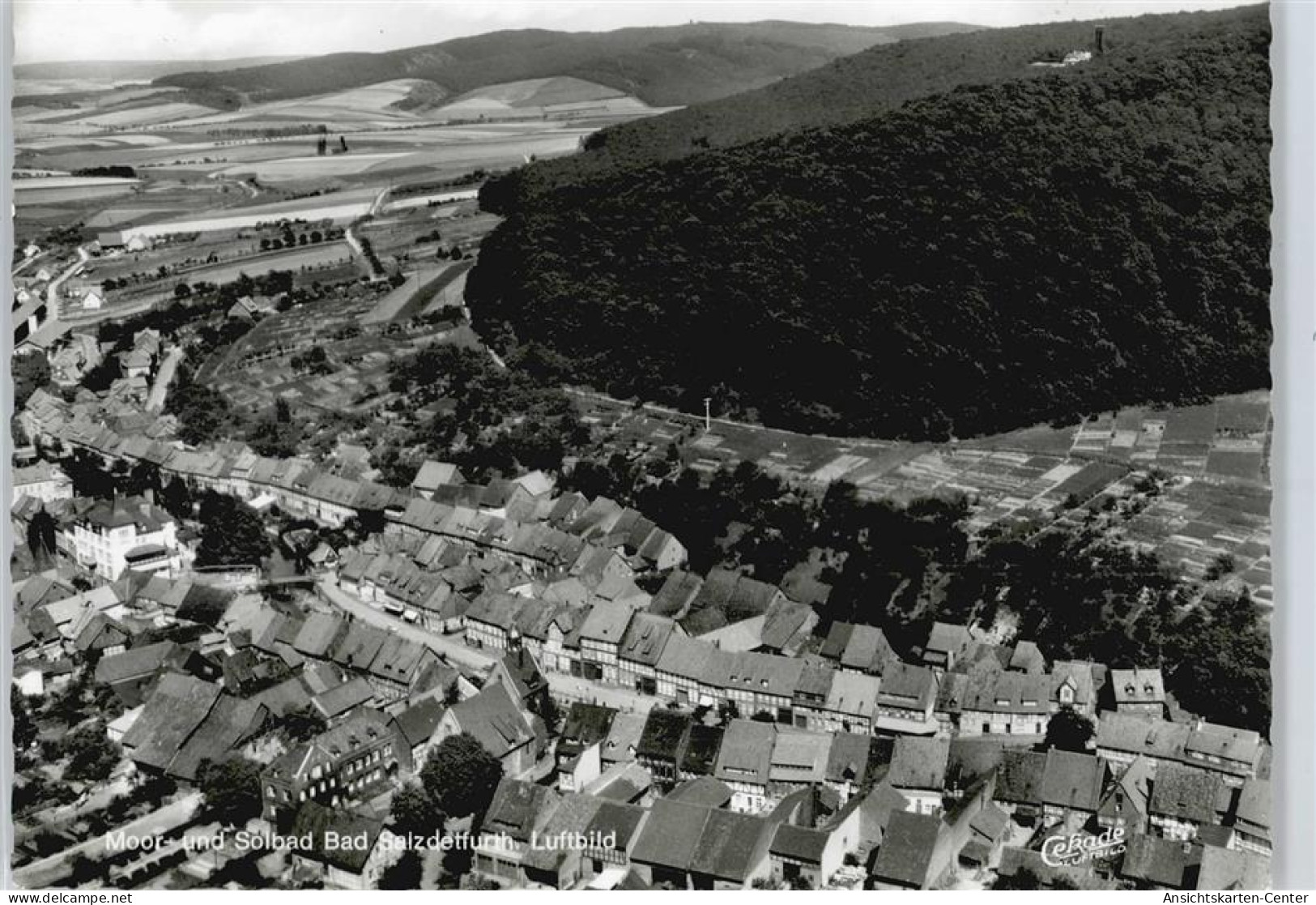 50361194 - Bad Salzdetfurth