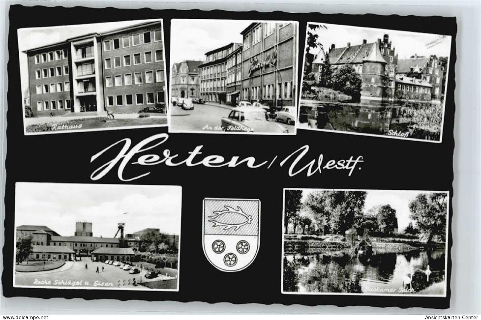 50361566 - Herten , Westf
