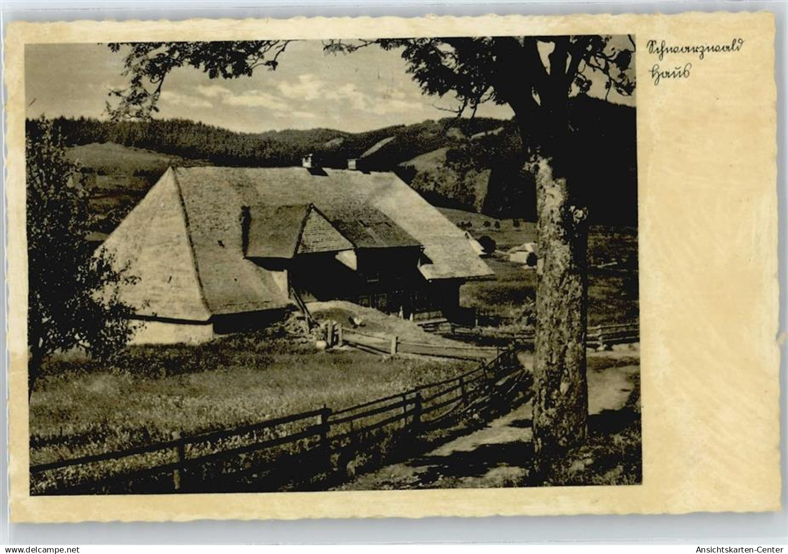 50363505 - Lahr , Schwarzwald