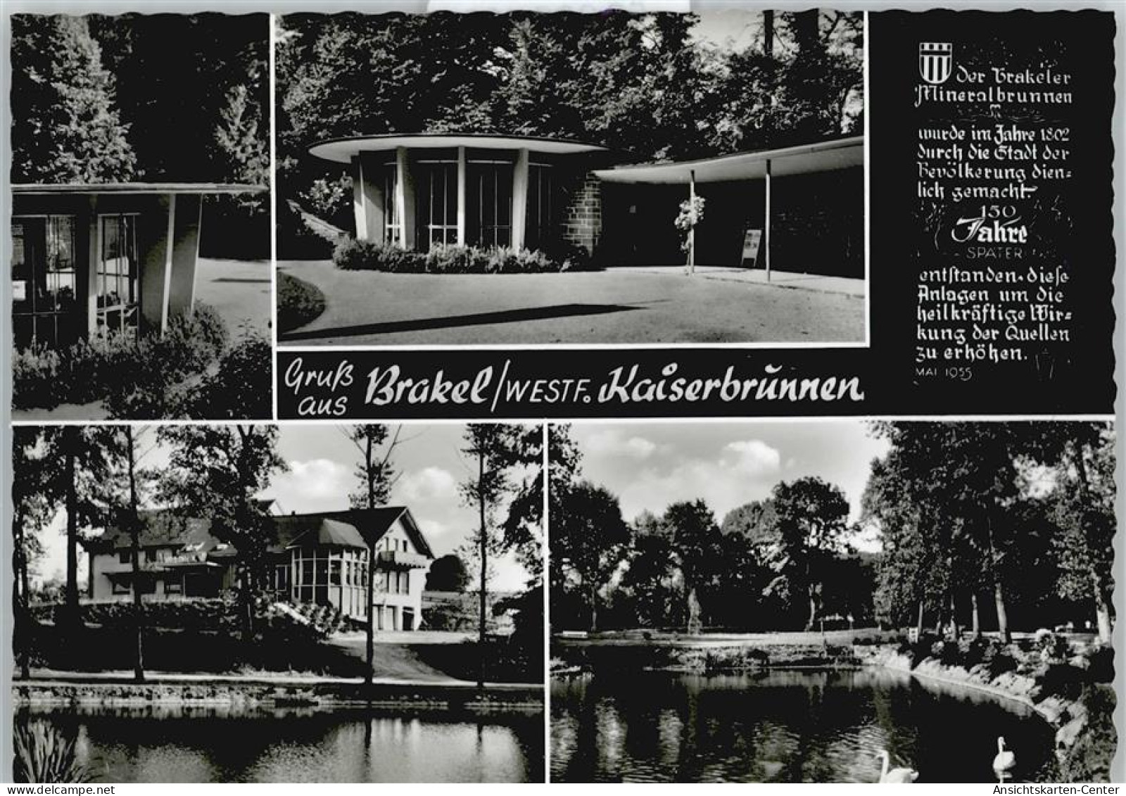 50365463 - Brakel , Westf