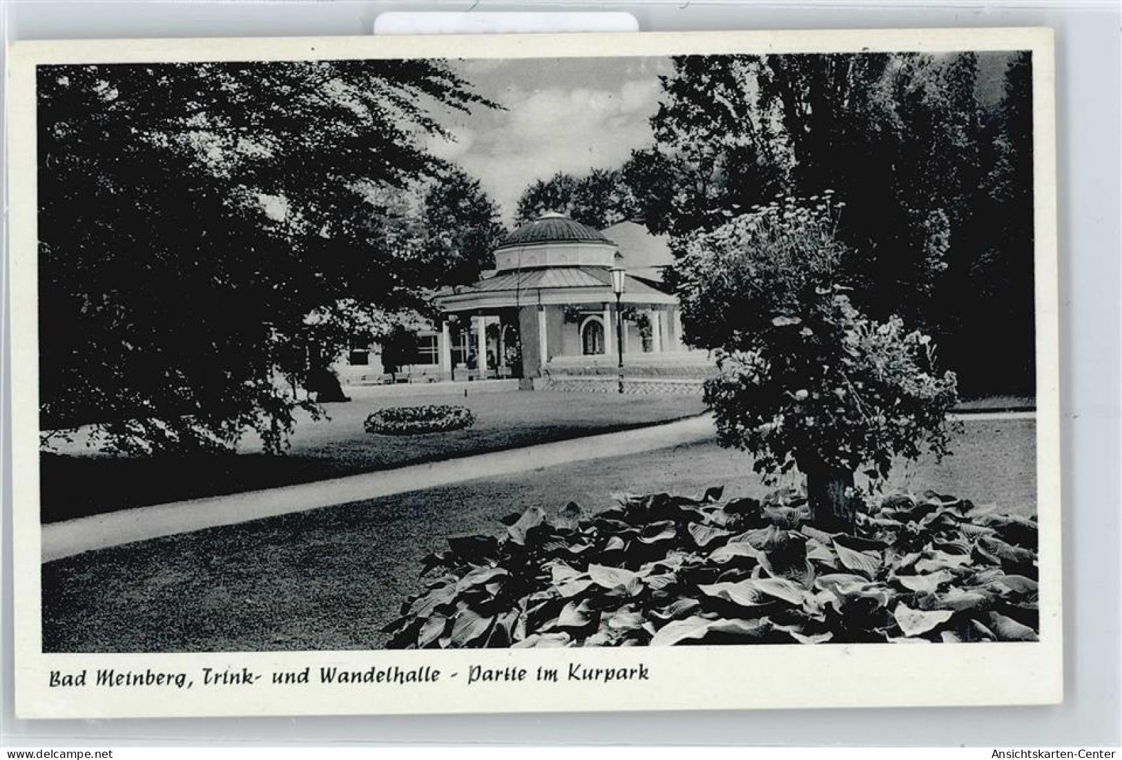 50365514 - Bad Meinberg