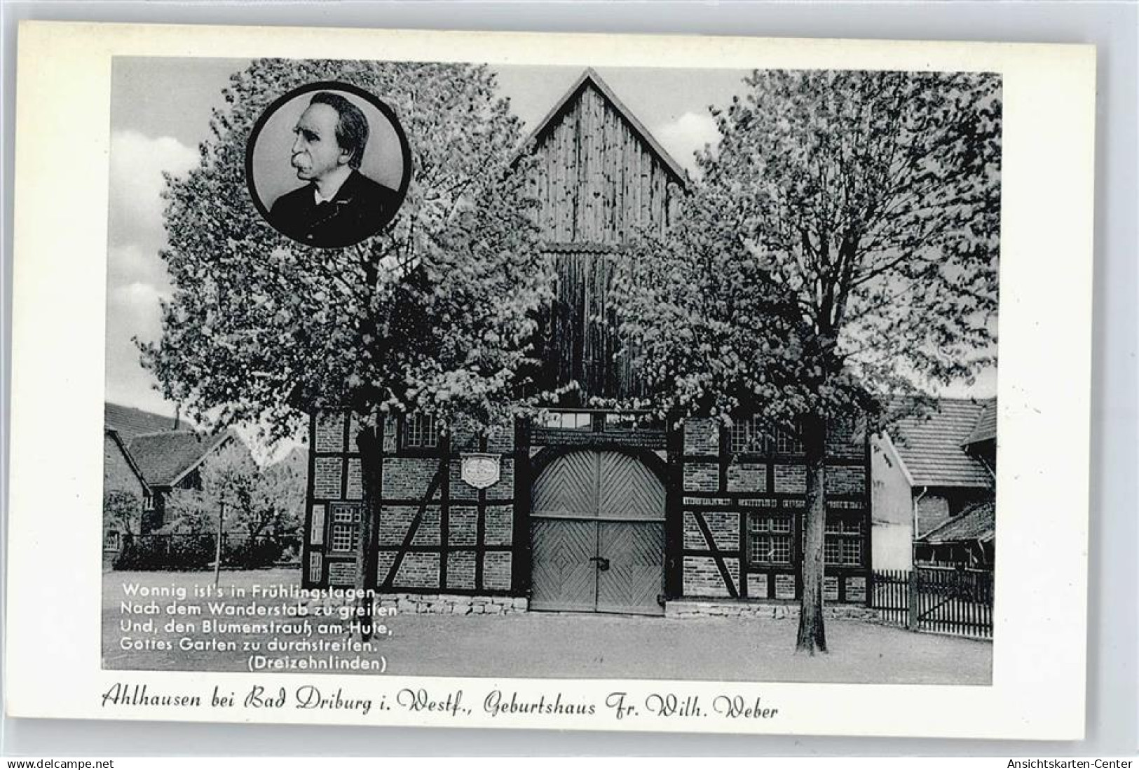 50365583 - Bad Driburg