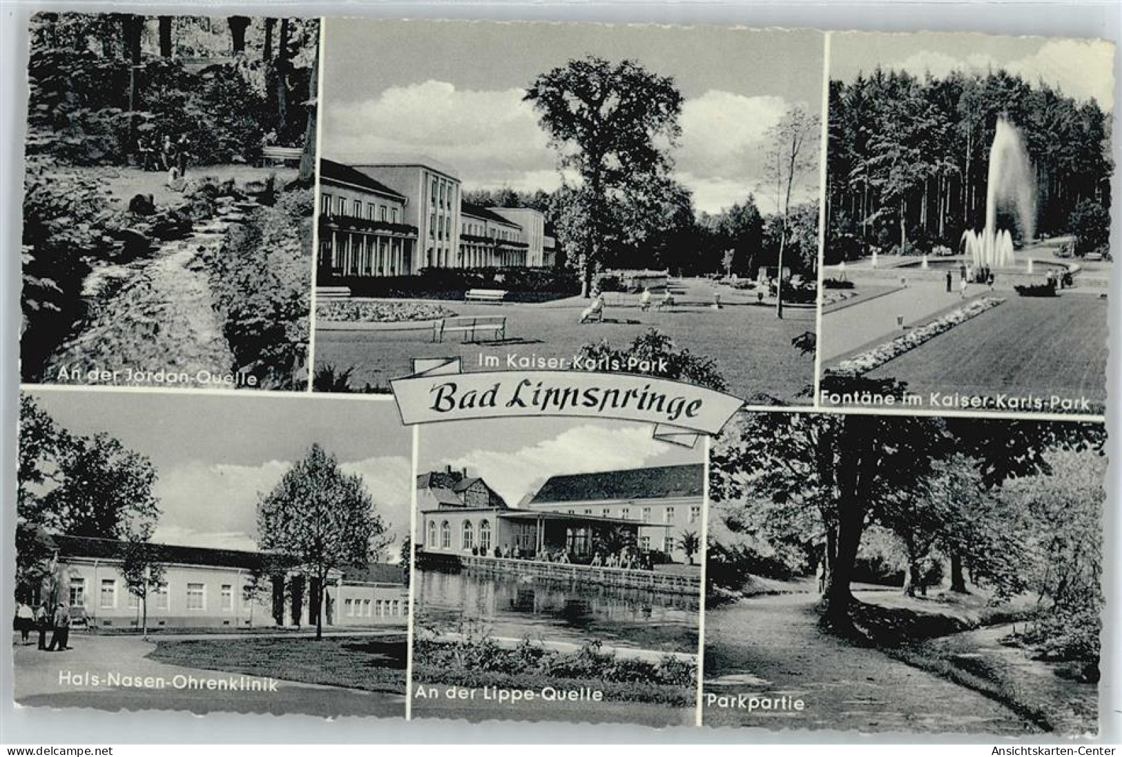 50365593 - Bad Lippspringe