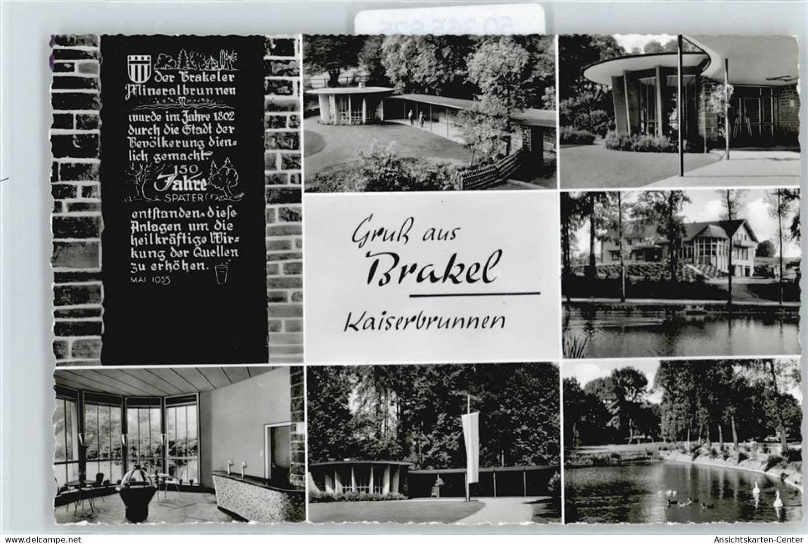 50365625 - Brakel , Westf