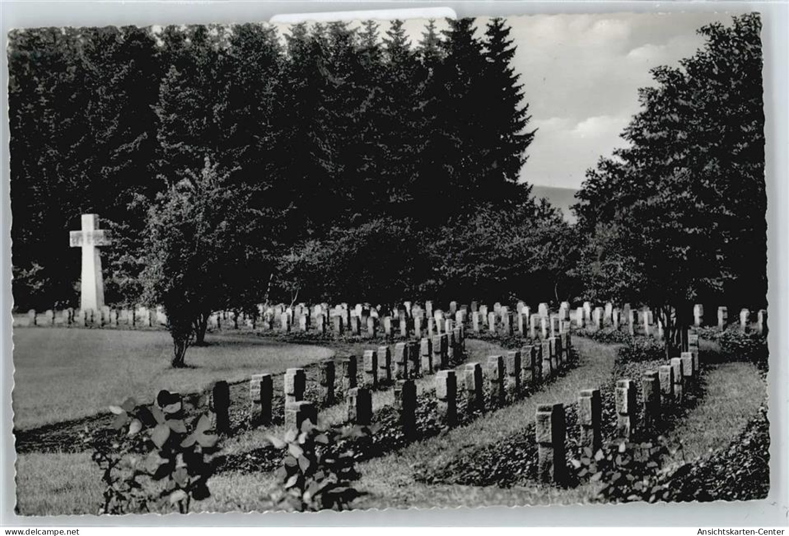 50365632 - Brakel , Westf