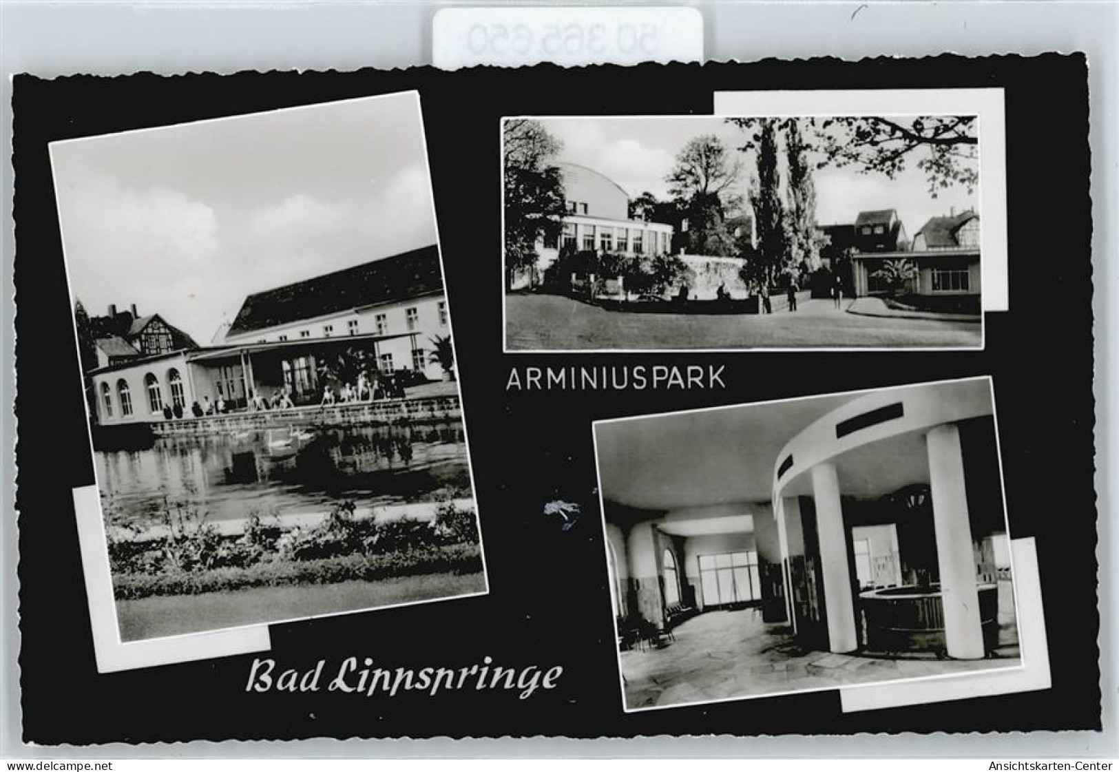 50365650 - Bad Lippspringe