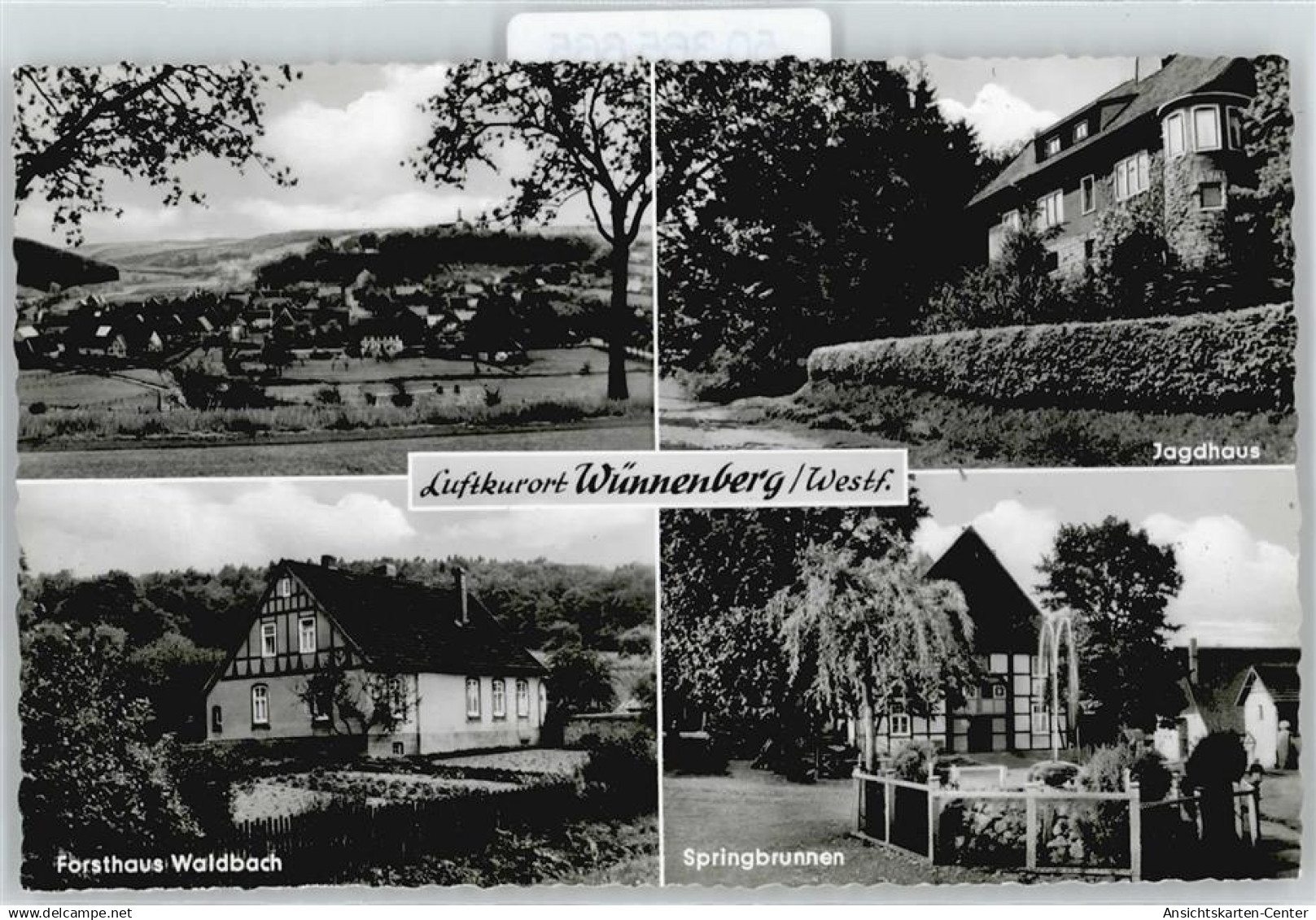 50365665 - Wuennenberg