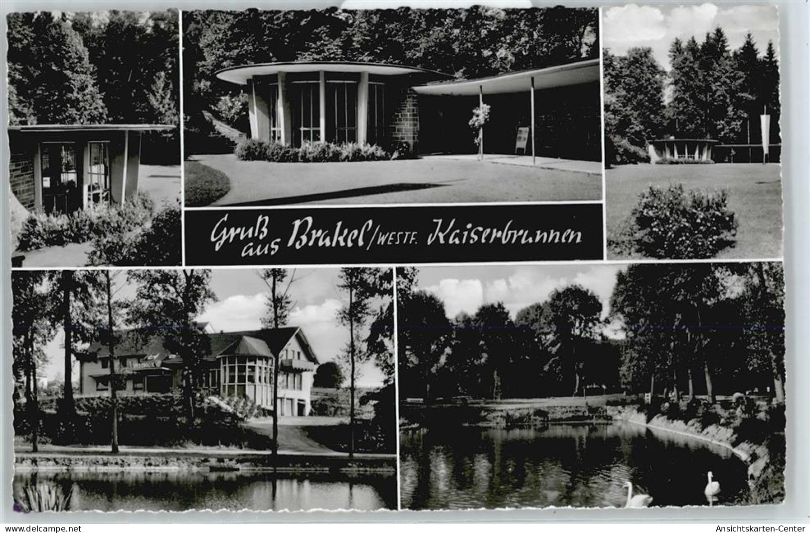 50365677 - Brakel , Westf