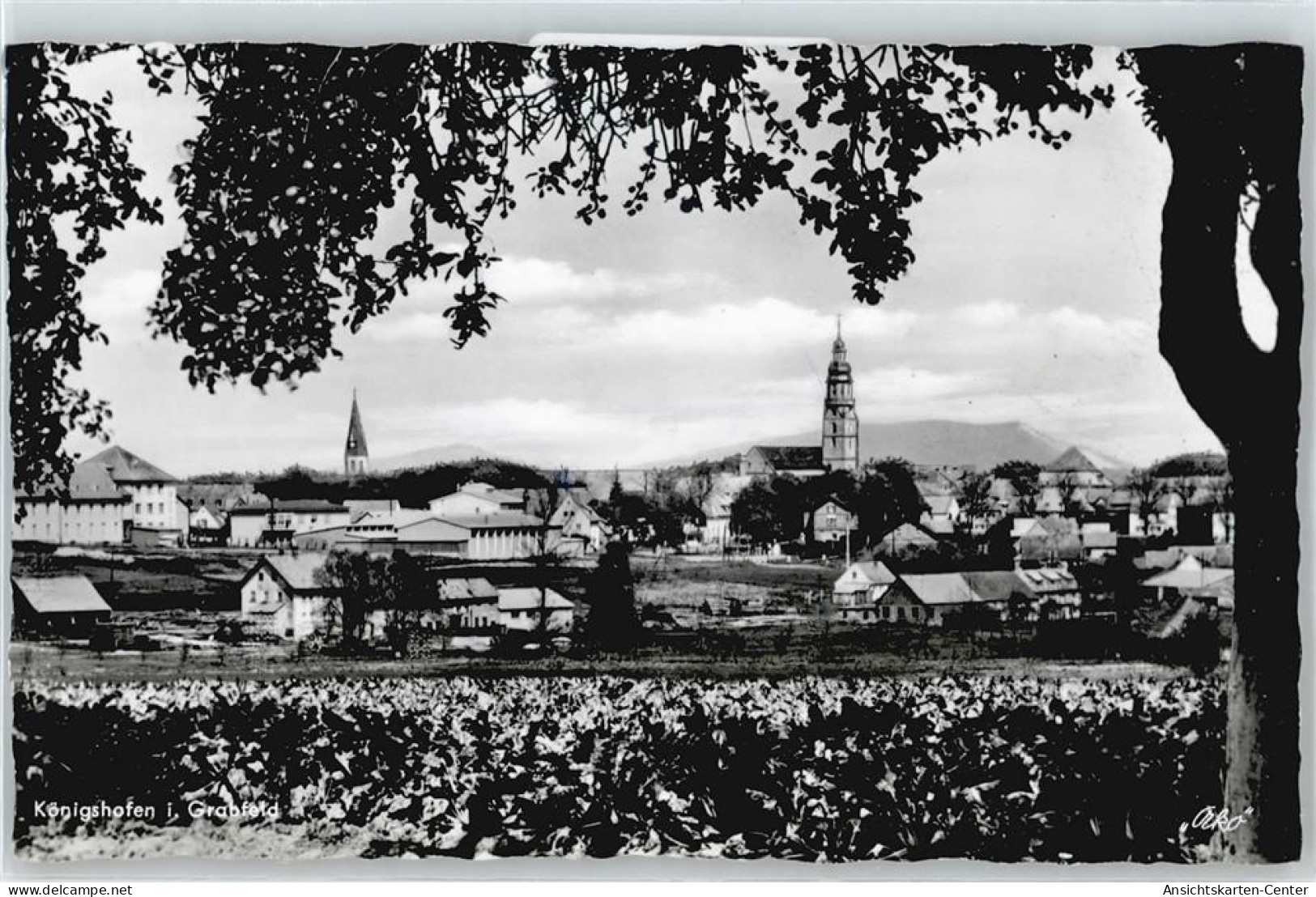 50366618 - Bad Koenigshofen i. Grabfeld