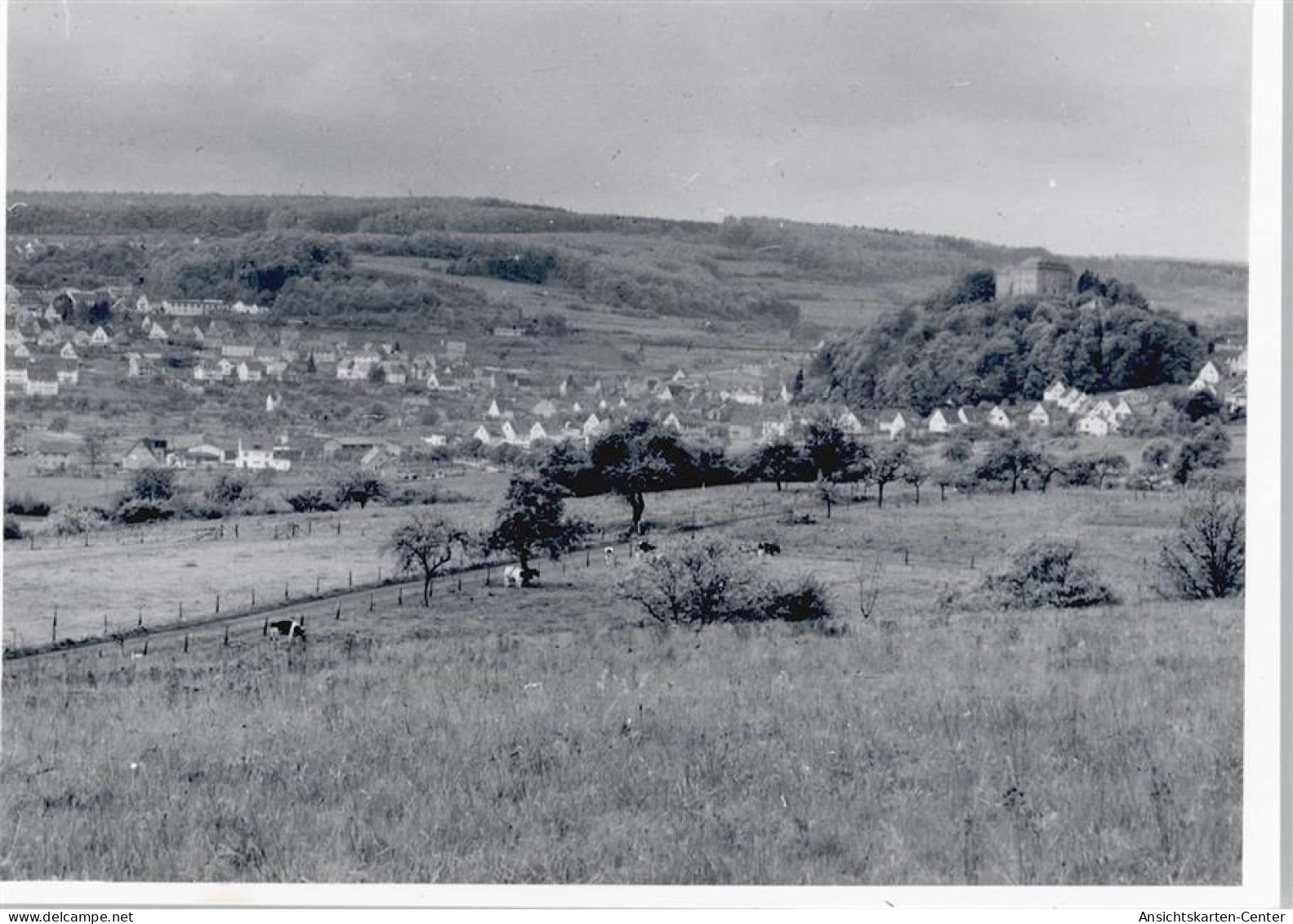 50369241 - Westerburg , Westerw