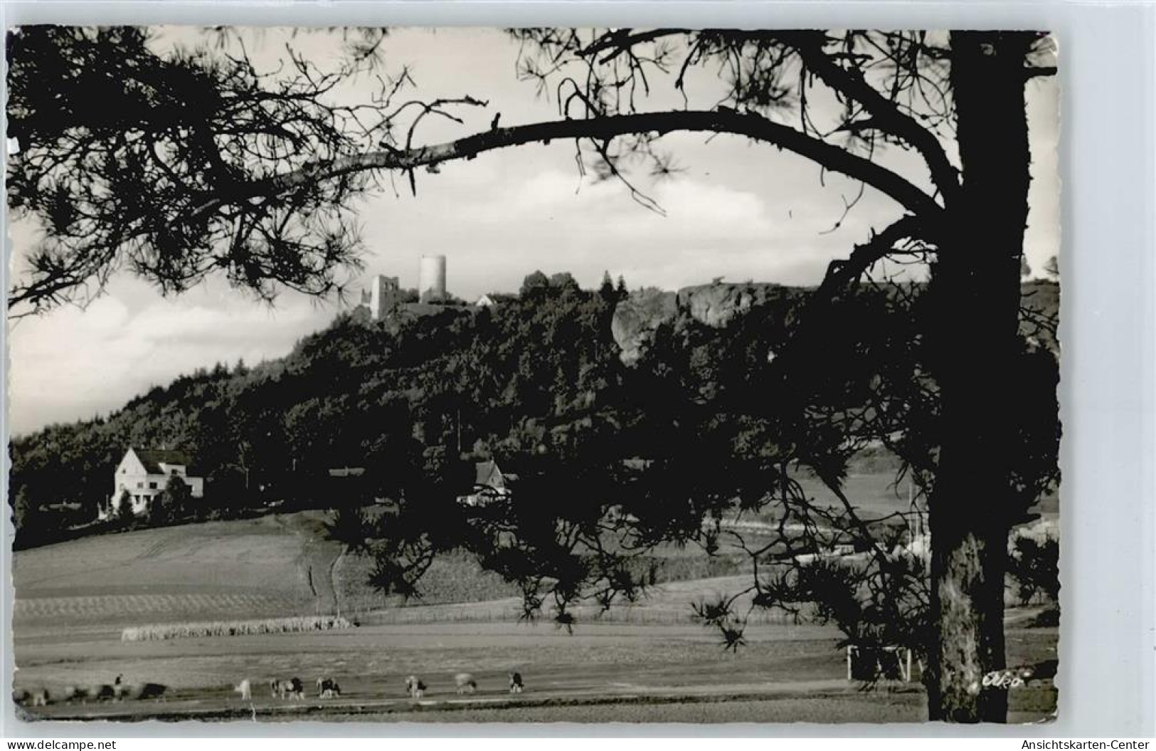 50373541 - Neumarkt , Oberpf