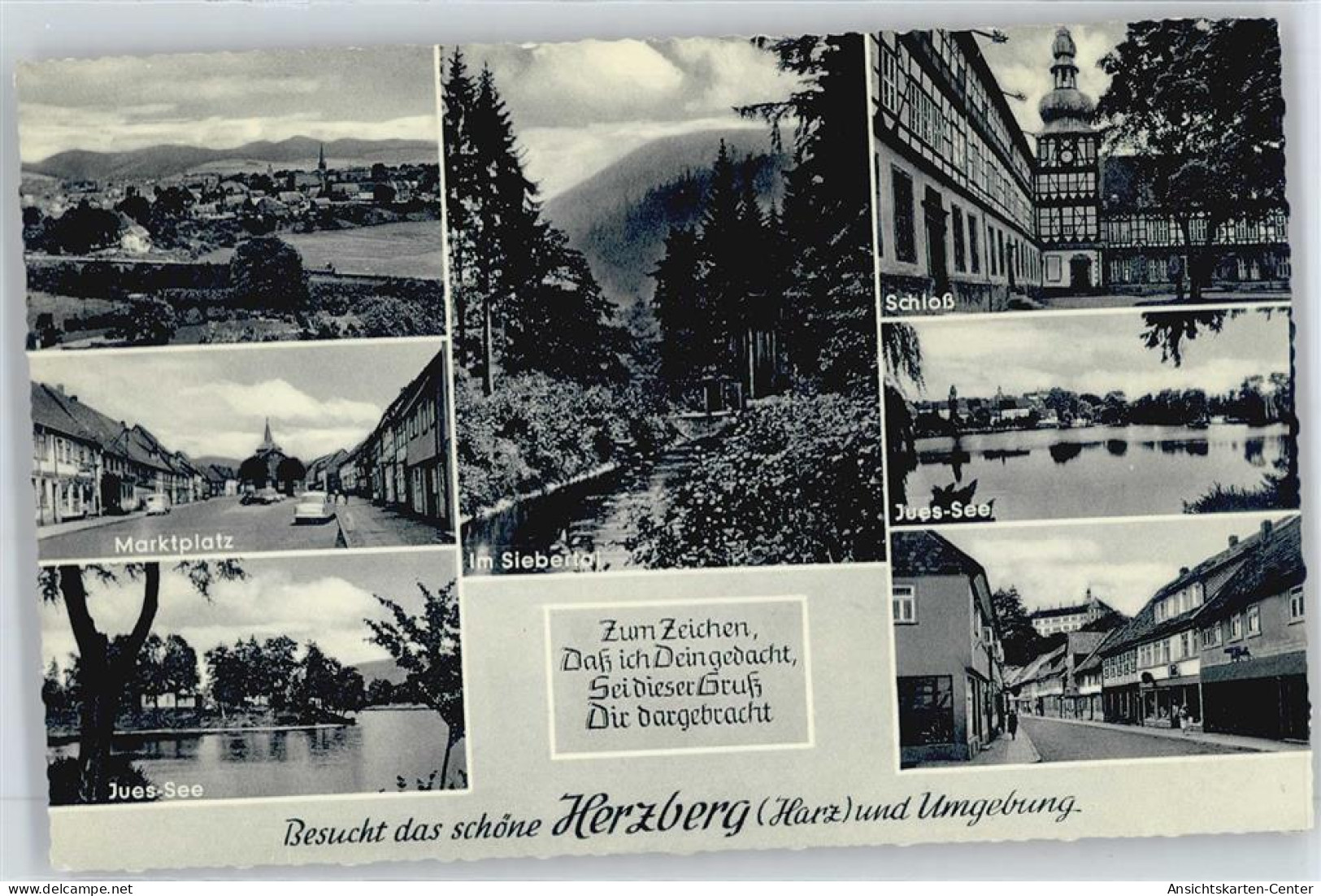 50377406 - Herzberg am Harz