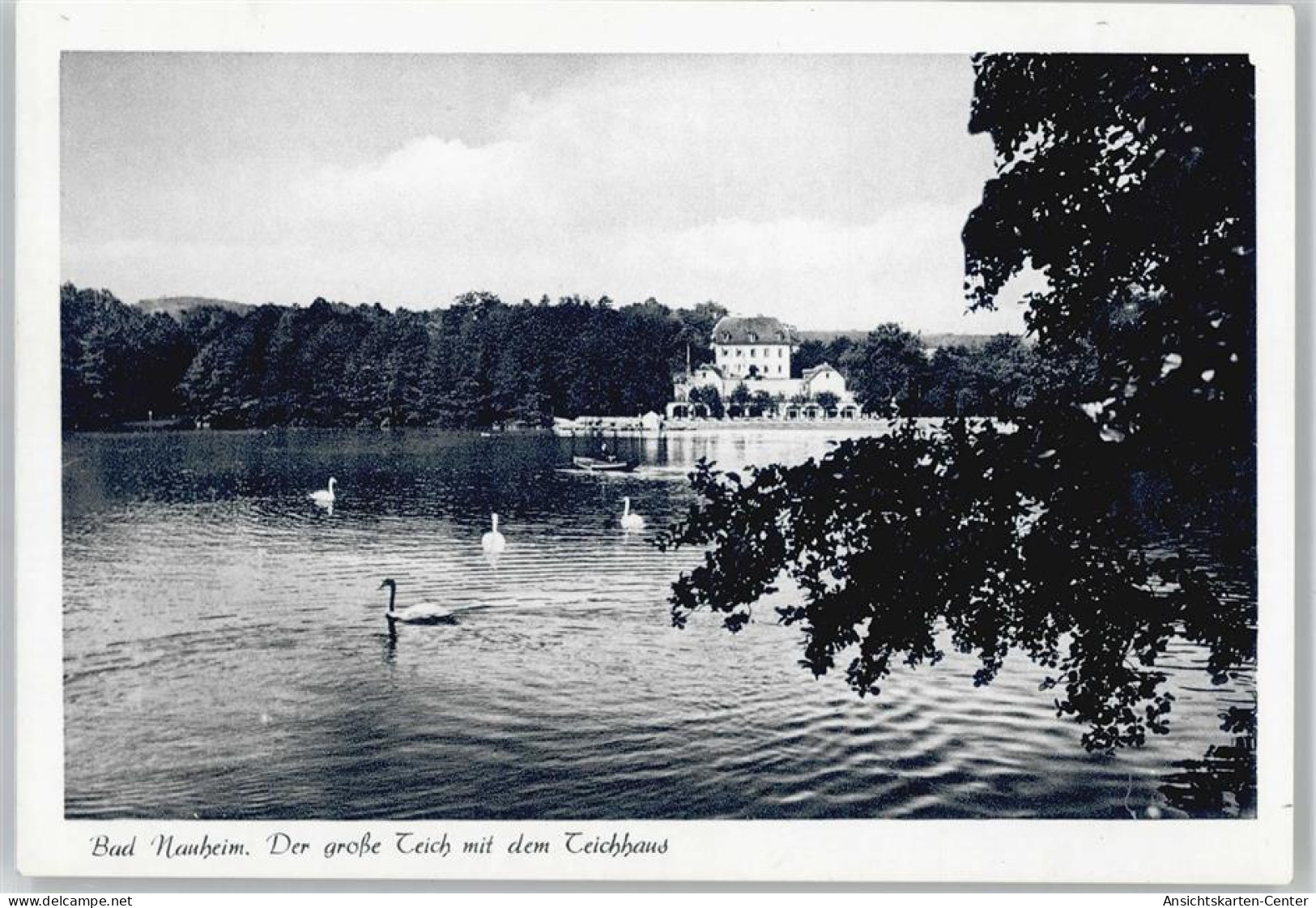 50378131 - Bad Nauheim