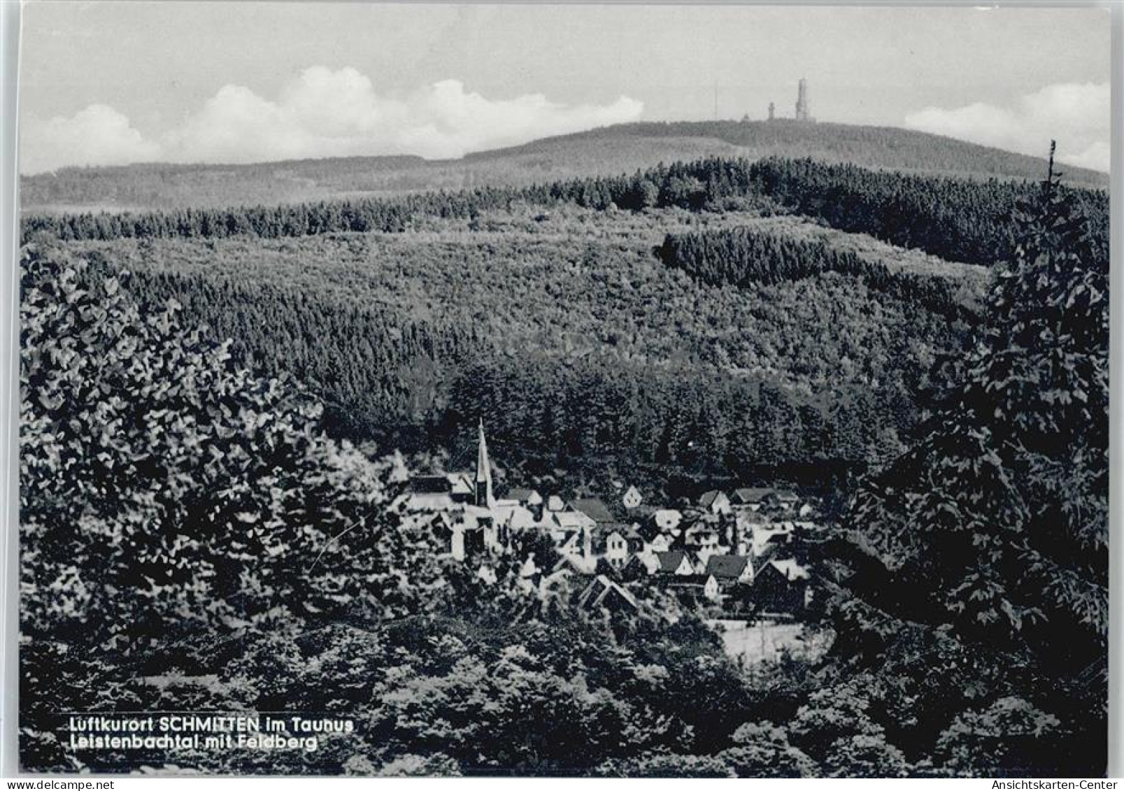 50378268 - Schmitten , Taunus