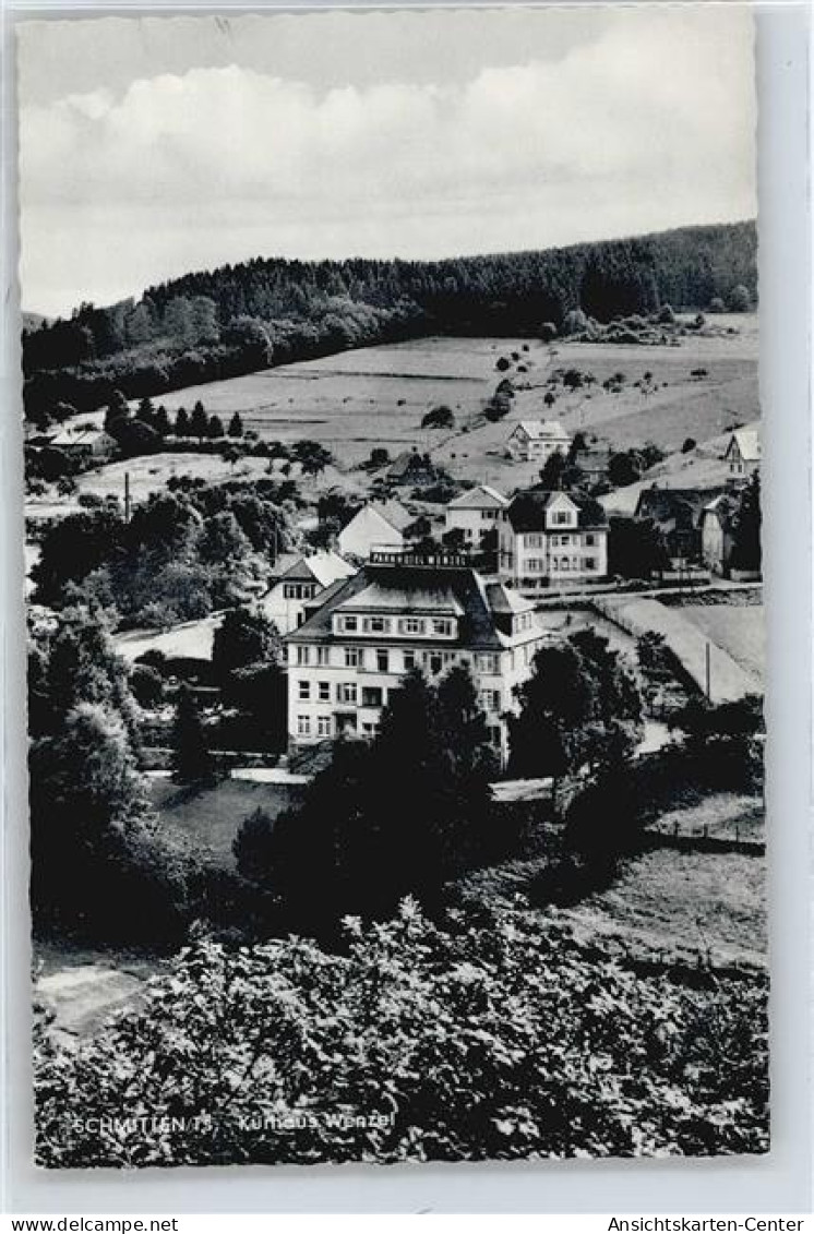 50378541 - Schmitten , Taunus