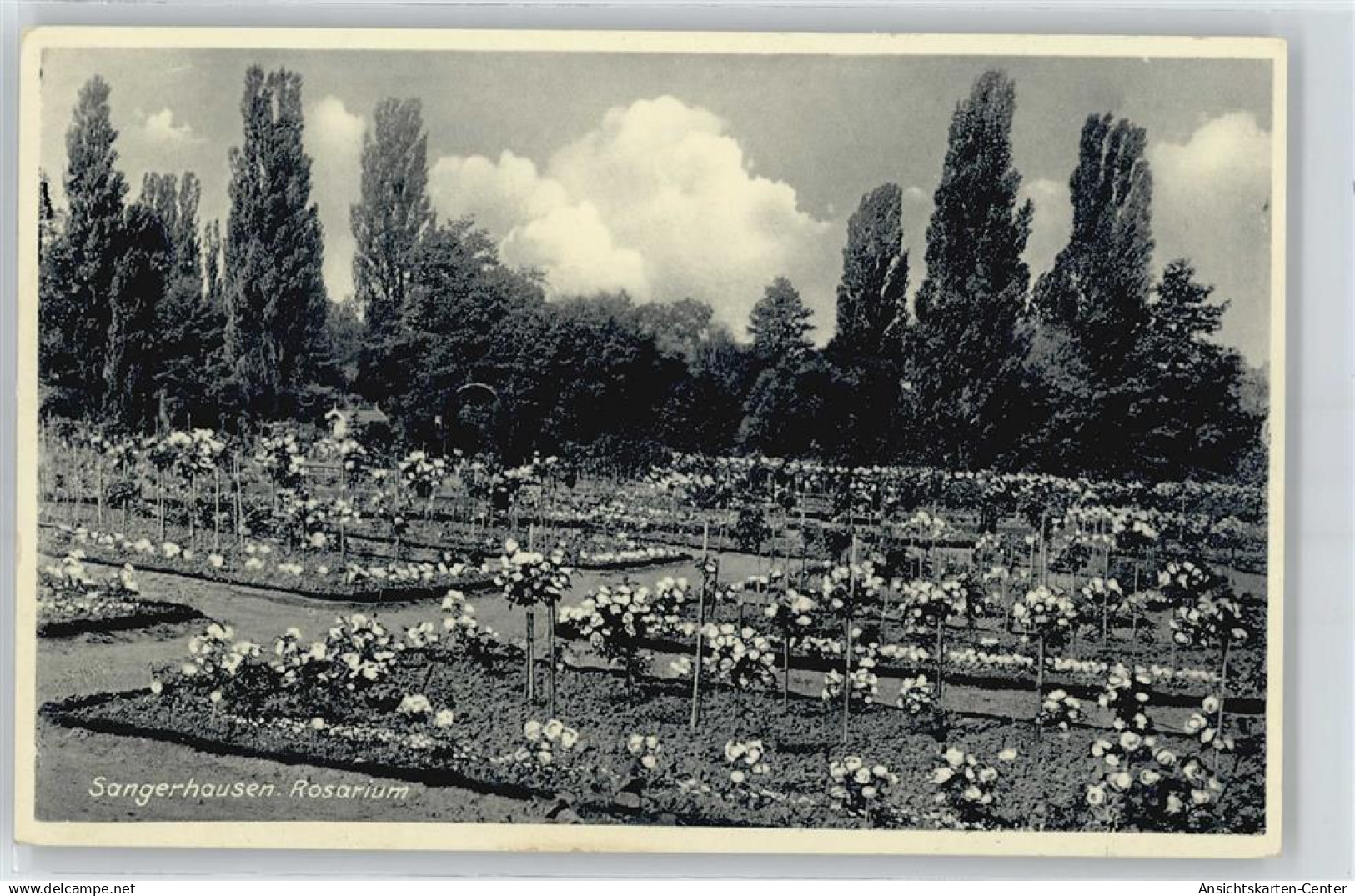 50379195 - Sangerhausen