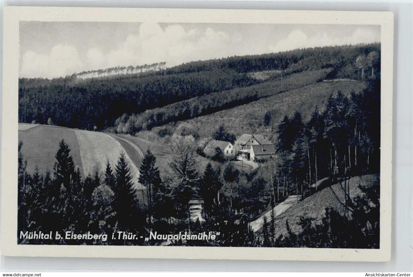 50379955 - Eisenberg , Thuer