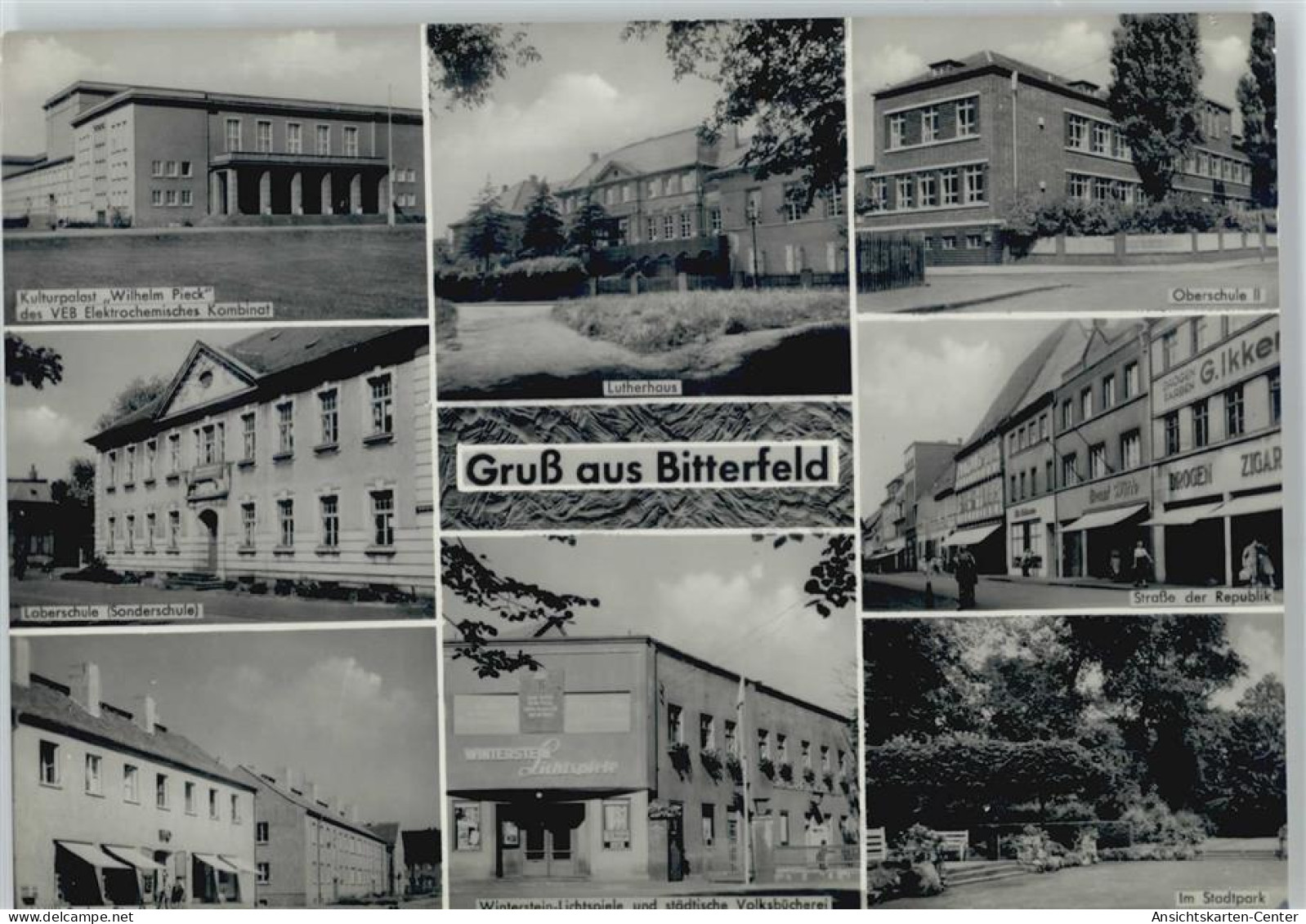 50380016 - Bitterfeld