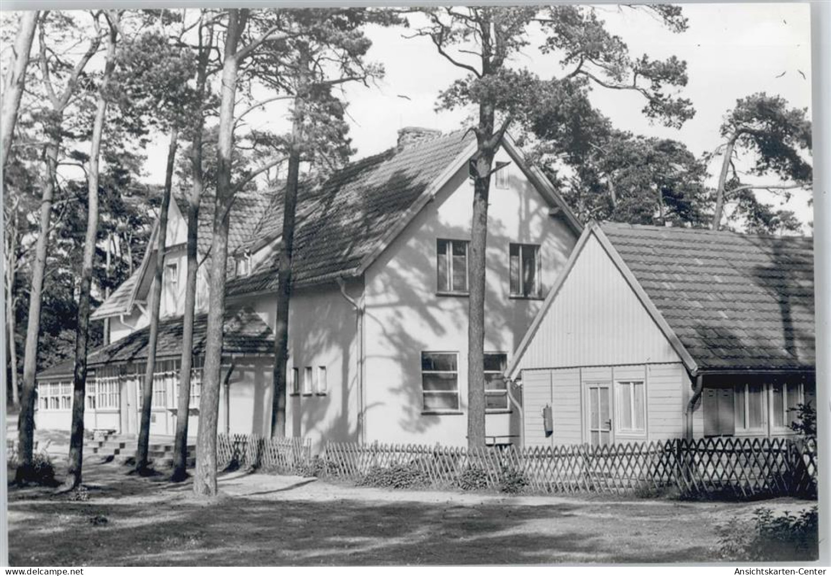 50380194 - Insel Hiddensee