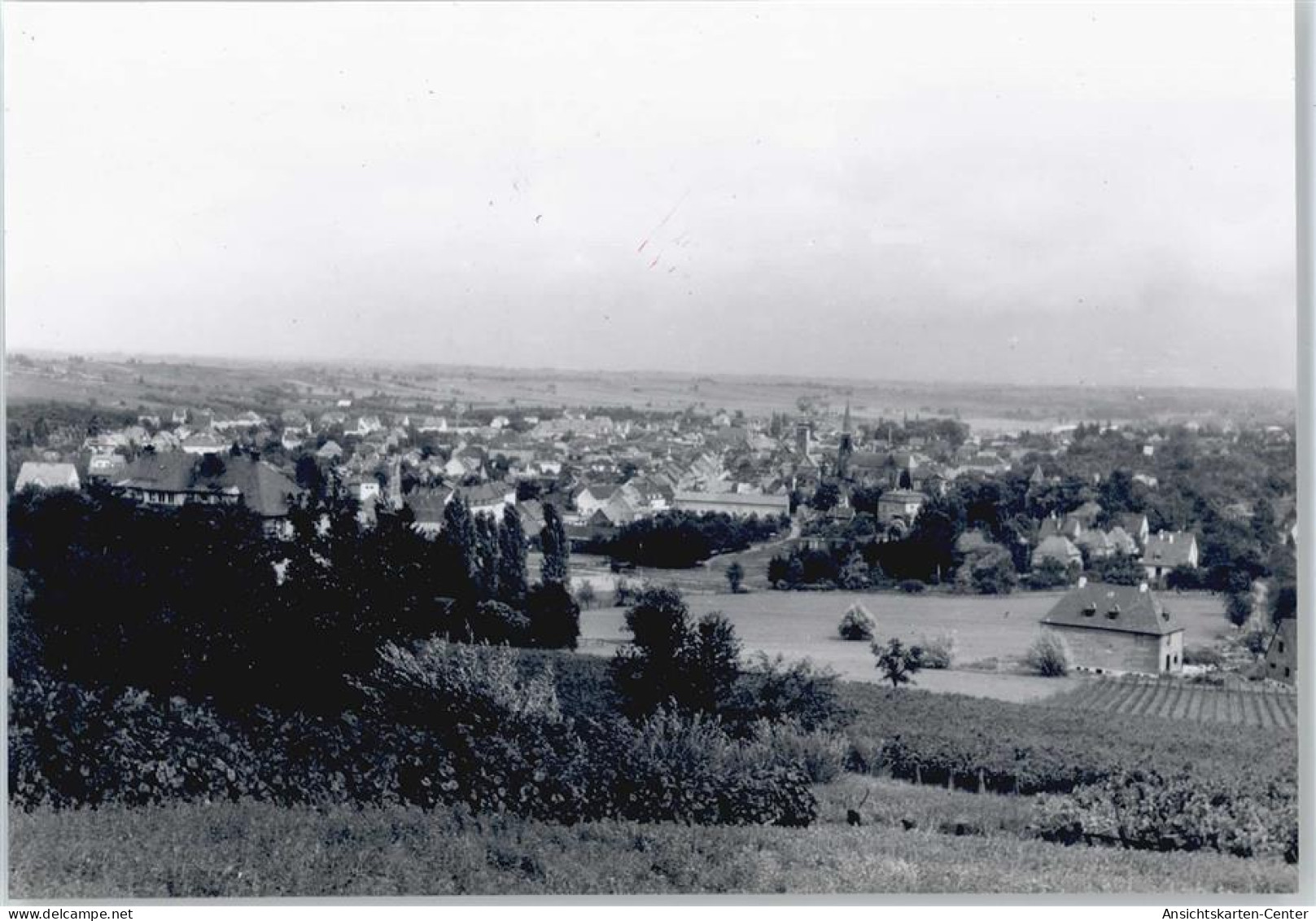 50380820 - Bad Bergzabern