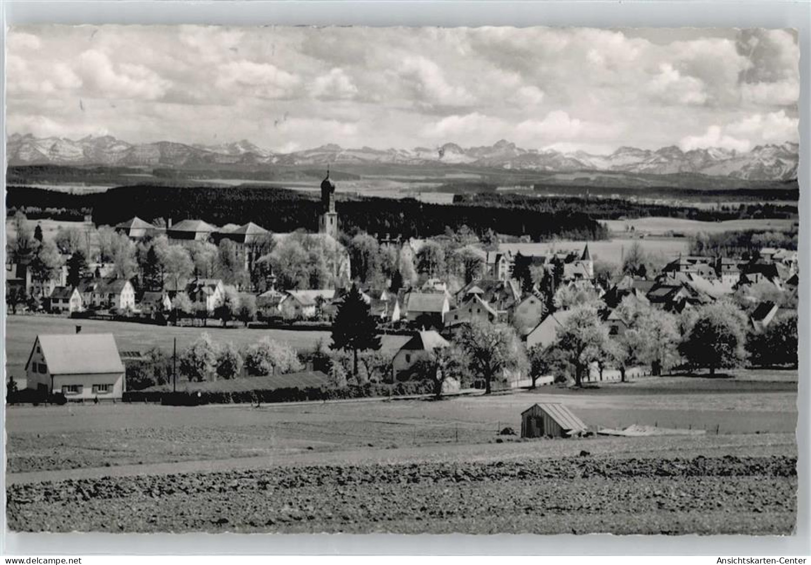 50383803 - Bad Schussenried