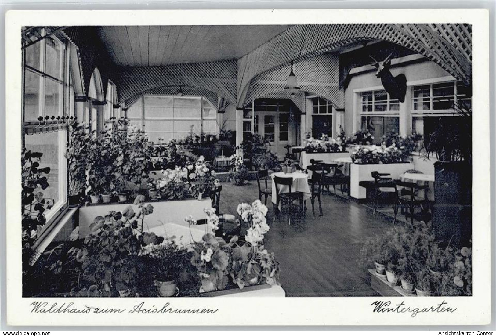 50385184 - Schluechtern