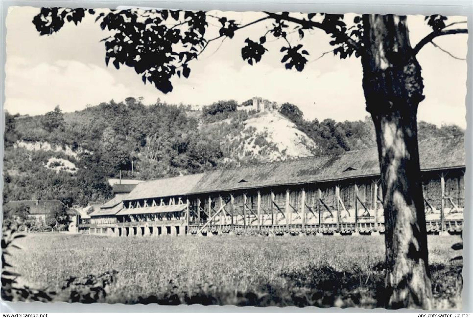 50385480 - Bad Sulza