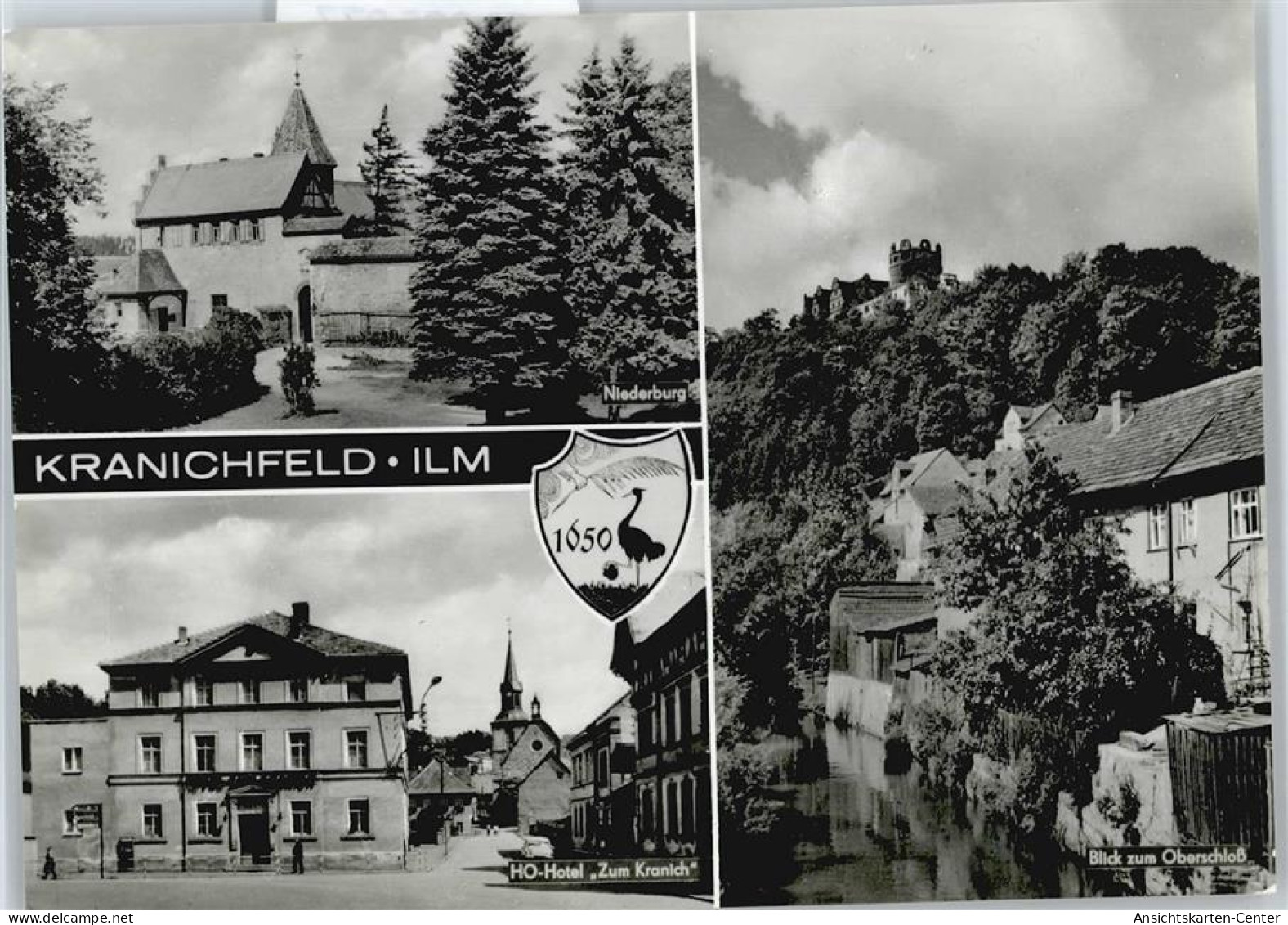 50385977 - Kranichfeld