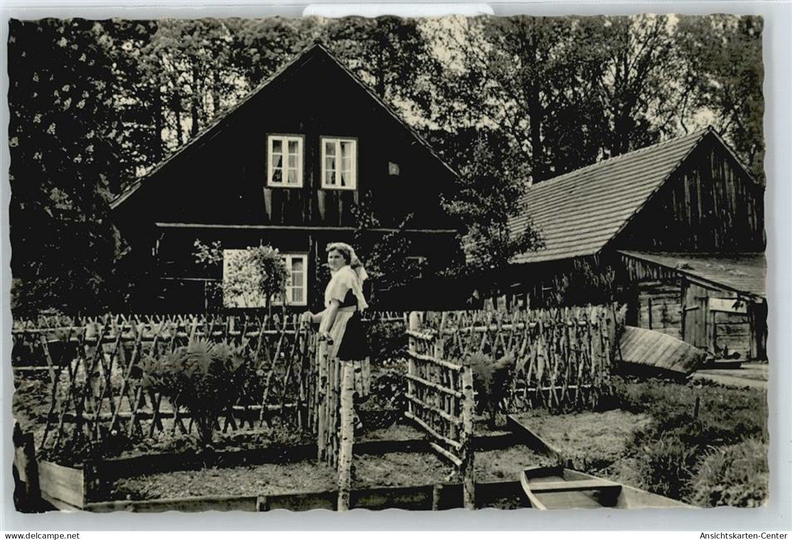 50387168 - Luckau , NL