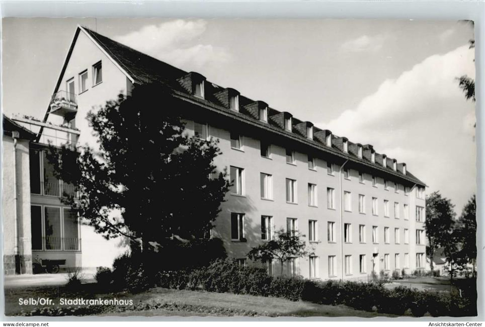 50388458 - Selb