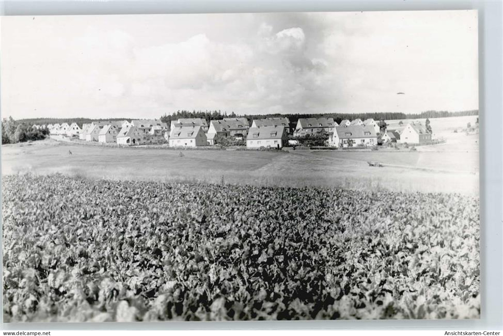 50388608 - Rehau , Oberfr