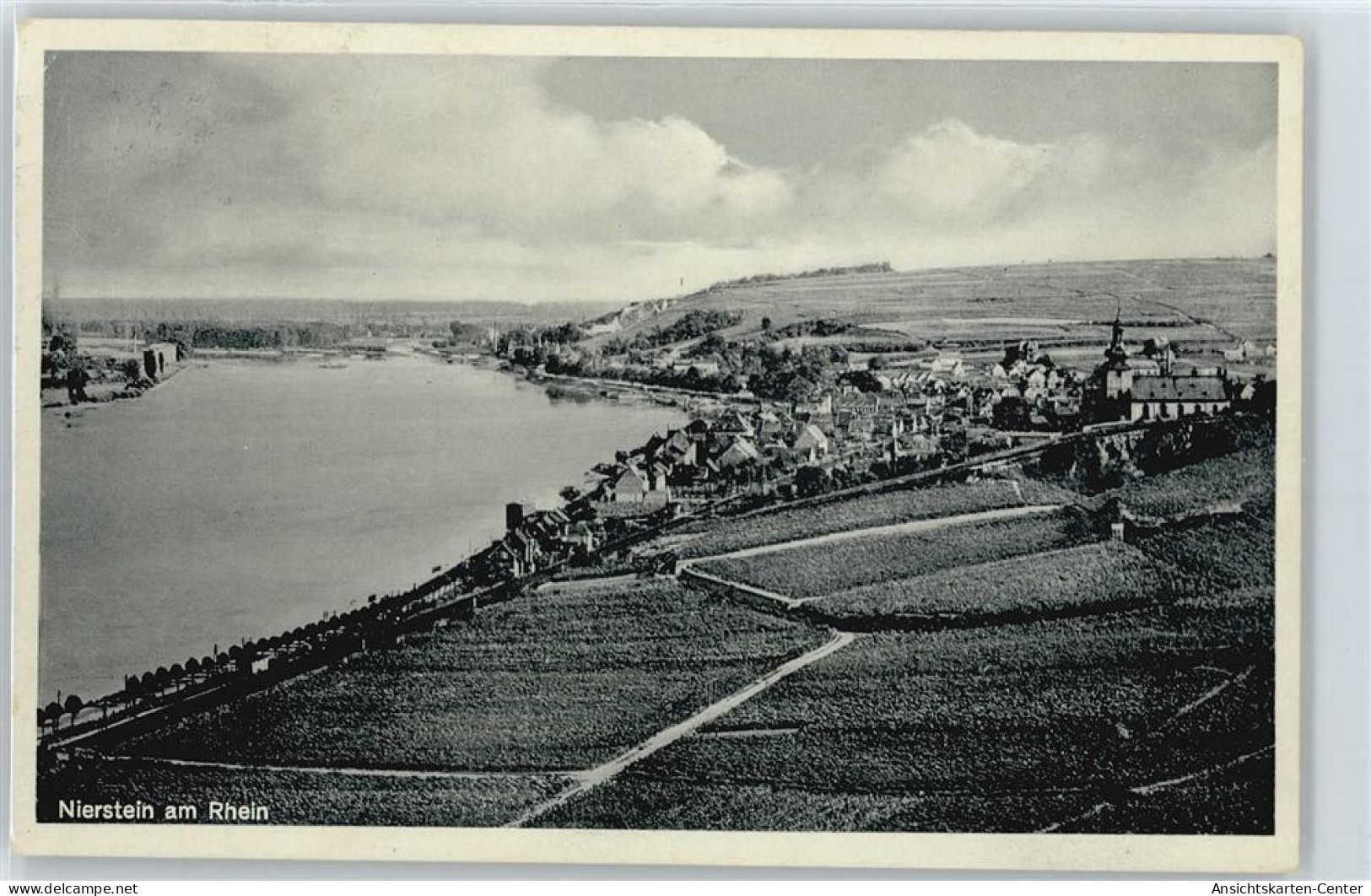 50389588 - Nierstein