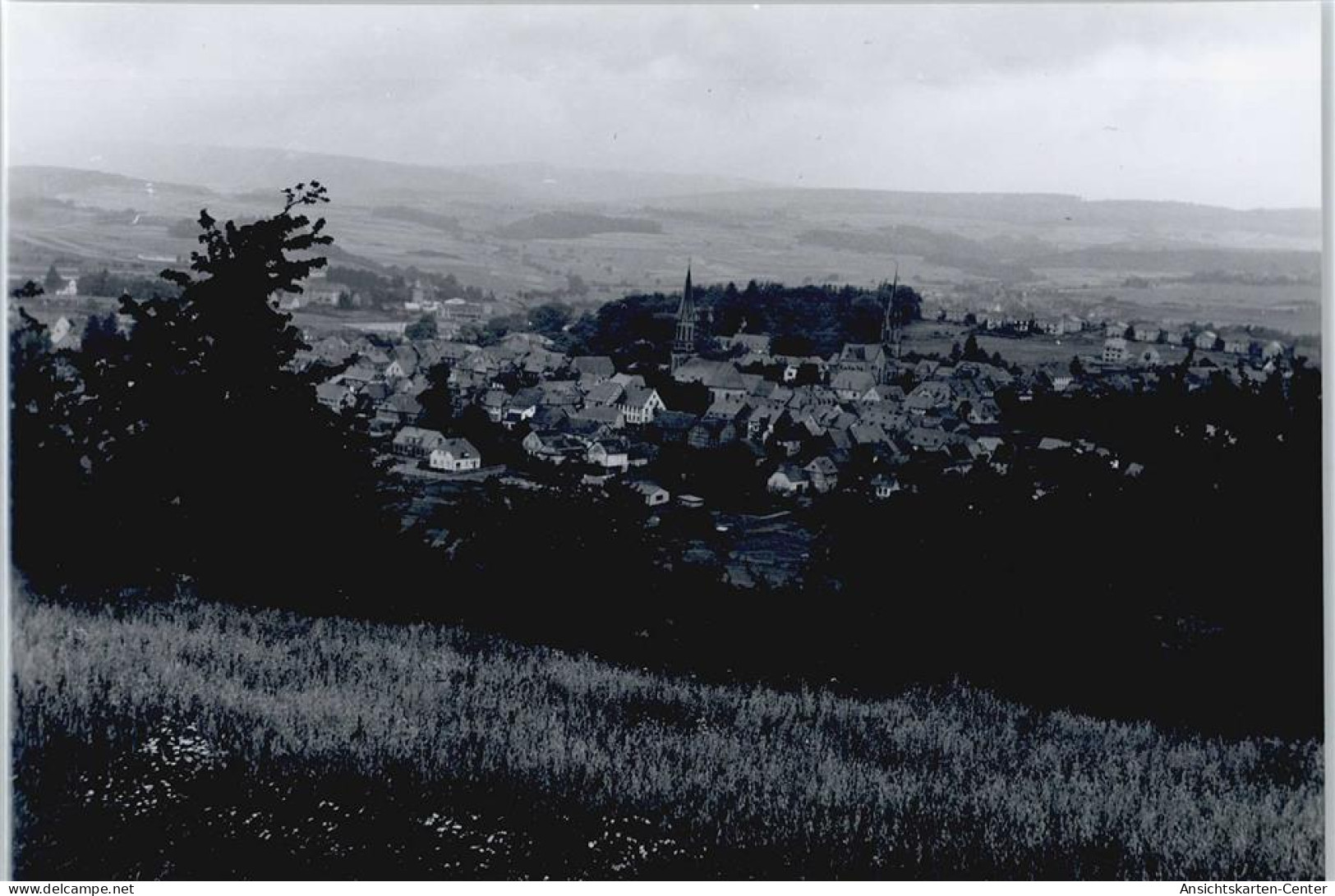 50389848 - Birkenfeld , Nahe