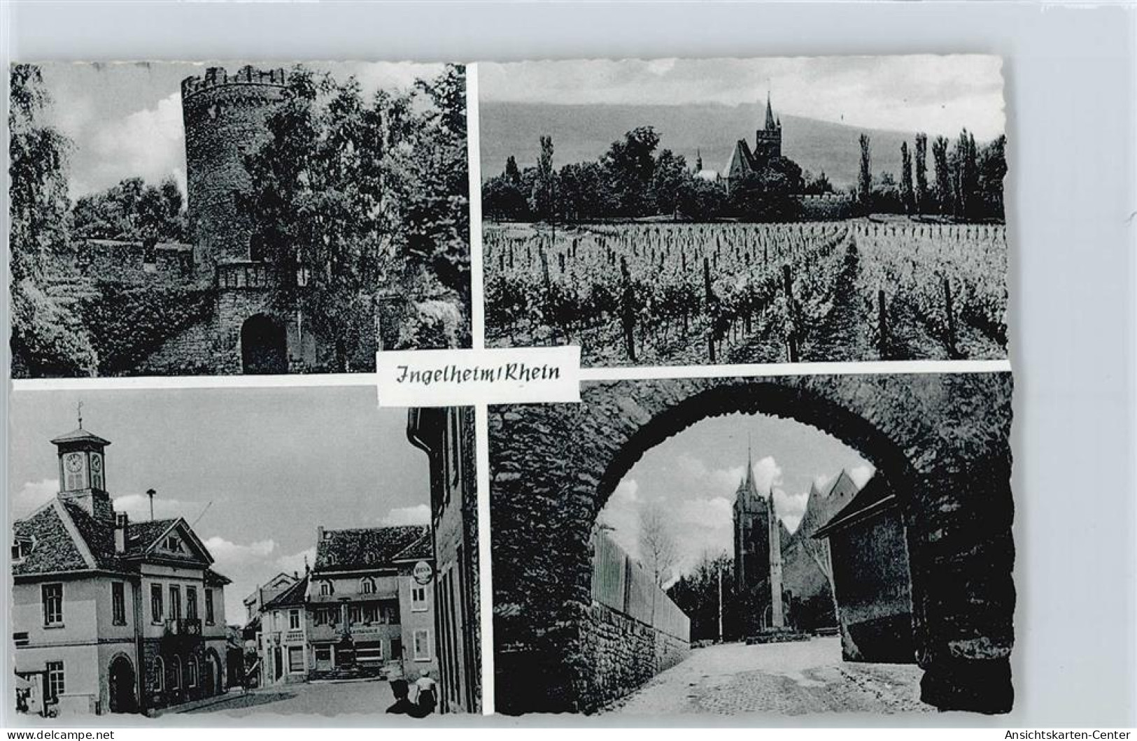 50390041 - Ingelheim am Rhein