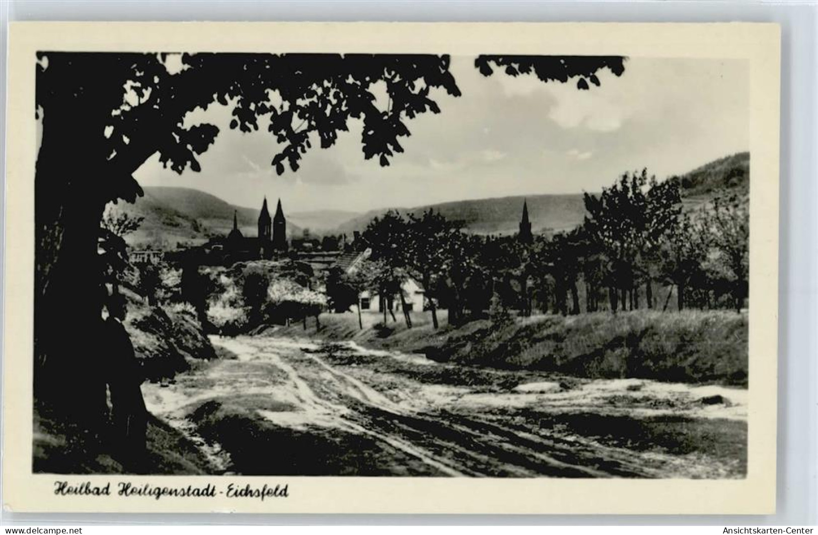 50394879 - Heilbad Heiligenstadt